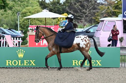 Frogmore Arena