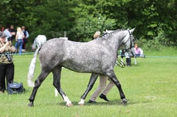 J36_6807 2026