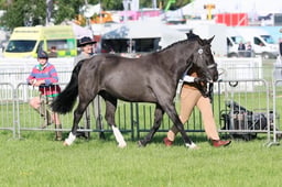 C33_0282 2026