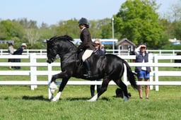 H19_0465 2026