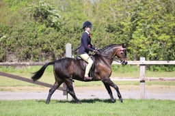 C19_1836 2026