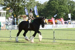 E33_0510 2026
