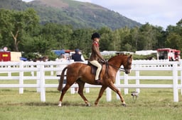 E42_0454 2026