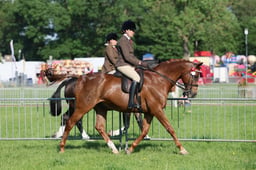 C33_0386 2026