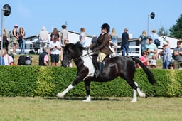 S61_0804 2026