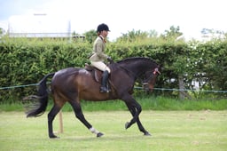 51 Unaffiliated Ridden Hack & RH