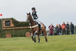 E39_0466 2026