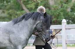 W29_0582 2026