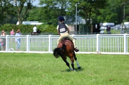 F33_0908 2026