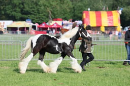 C34_0549 2026