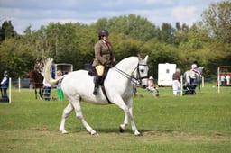 W36_2189 2026