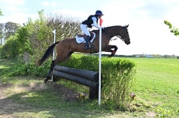 462 ISY MOON
