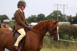 30 HOYS M&M Ridden Welsh B