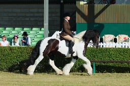 S61_0095 2026