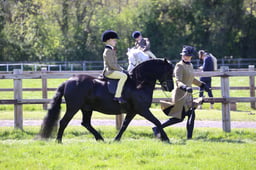 C19_2332 2026