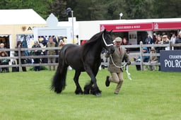 W29_0892 2026