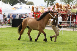 E34_2800 2026
