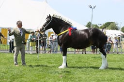E33_4731 2026