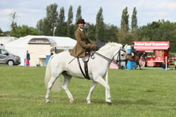 E36_2272 2026