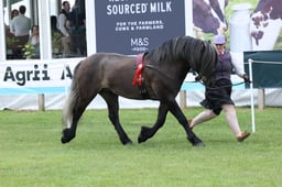 M44_0924 2026