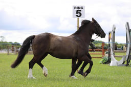J36_6153 2026