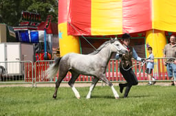 E34_1284 2026