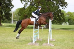 557 TOPDROP