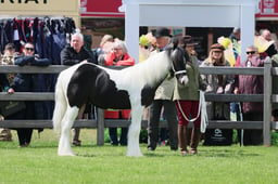 S28_8445 2026