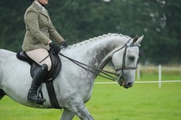 21 RoR NOVICE RIDDEN