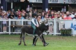 Donkey Exhibition