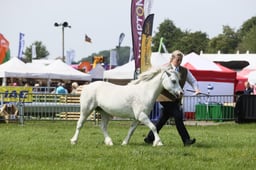 E34_1455 2026
