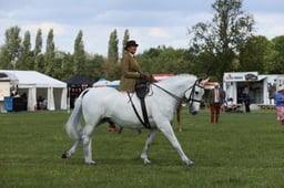 E36_2117 2026