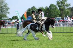 H33_4302 2026