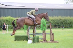 81 Novice Working Hunter 85cms
