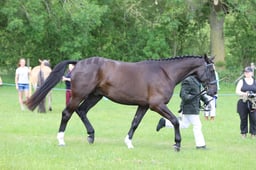 J36_6914 2026