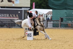 H29_7652 2026