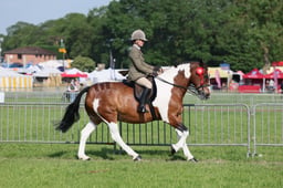 C34_0494 2026