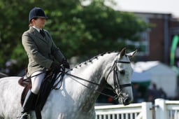 26 HOYS Lightweight Ridden Hunter