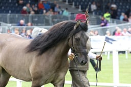 M44_0553 2026