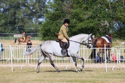 E60_5071 2026