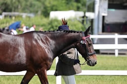 Z42_3360 2026