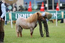 H44_0372 2026