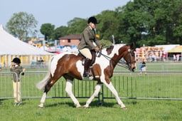 C33_0619 2026