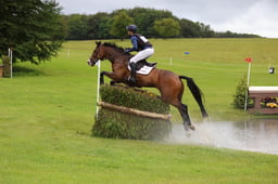 D39_2372 2026