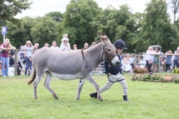 Young Handler