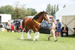 E36_1381 2026