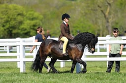 H19_0602 2026