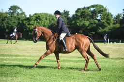 01 RoR Novice Ridden