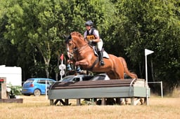 D68_0459 2026