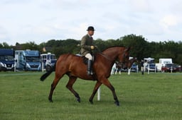 E36_0405 2026
